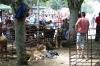 Filename=IMG-5585.jpg
Filesize=142KiB
Dimensions=1200x800
Date added=%933 %21, %2012 IMG-5585.jpg