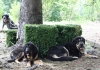 Filename=IMG-5589.jpg
Filesize=147KiB
Dimensions=1200x846
Date added=%933 %21, %2012 IMG-5589.jpg