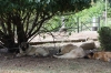 Filename=IMG-5591.jpg
Filesize=182KiB
Dimensions=1200x800
Date added=%933 %21, %2012 IMG-5591.jpg
