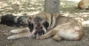 Filename=IMG-5606.jpg
Filesize=153KiB
Dimensions=1500x792
Date added=%933 %21, %2012 IMG-5606.jpg