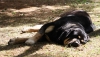 Filename=IMG-5608.jpg
Filesize=178KiB
Dimensions=1400x806
Date added=%933 %21, %2012 IMG-5608.jpg