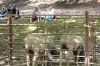 Filename=IMG-5610.jpg
Filesize=140KiB
Dimensions=1200x793
Date added=%933 %21, %2012 IMG-5610.jpg