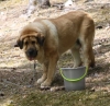 Filename=IMG-5614.jpg
Filesize=173KiB
Dimensions=1200x1164
Date added=%933 %21, %2012 IMG-5614.jpg