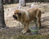 Filename=IMG-5615.jpg
Filesize=141KiB
Dimensions=1200x976
Date added=%933 %21, %2012 IMG-5615.jpg