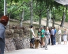 Filename=IMG-5617.jpg
Filesize=185KiB
Dimensions=1200x951
Date added=%933 %21, %2012 IMG-5617.jpg