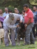 Filename=barrios18-(2).jpg
Filesize=57KiB
Dimensions=503x663
Date added=%847 %22, %2012 barrios18-(2).jpg