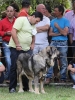 Filename=barrios30-(2).jpg
Filesize=62KiB
Dimensions=519x689
Date added=%847 %22, %2012 barrios30-(2).jpg
