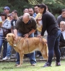Filename=barrios34-(2).jpg
Filesize=73KiB
Dimensions=597x643
Date added=%847 %22, %2012 barrios34-(2).jpg