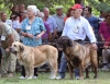 Filename=barrios36-(2).jpg
Filesize=84KiB
Dimensions=732x567
Date added=%847 %22, %2012 barrios36-(2).jpg