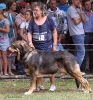 Filename=barrios58-(2).jpg
Filesize=81KiB
Dimensions=608x652
Date added=%847 %22, %2012 barrios58-(2).jpg