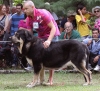 Filename=barrios60-(2).jpg
Filesize=85KiB
Dimensions=690x629
Date added=%847 %22, %2012 barrios60-(2).jpg