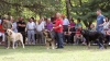Filename=barrios65-(2).jpg
Filesize=112KiB
Dimensions=959x539
Date added=%847 %22, %2012 barrios65-(2).jpg