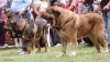 Filename=barrios81-(2).jpg
Filesize=100KiB
Dimensions=932x539
Date added=%847 %22, %2012 barrios81-(2).jpg
