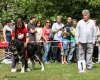 Filename=barrios84-(2).jpg
Filesize=98KiB
Dimensions=704x567
Date added=%847 %22, %2012 barrios84-(2).jpg