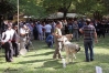 Filename=barrios9-(2).jpg
Filesize=123KiB
Dimensions=847x567
Date added=%847 %22, %2012 barrios9-(2).jpg