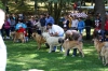 Filename=IMG_7422.jpg
Filesize=111KiB
Dimensions=1200x800
Date added=%571 %17, %2014 IMG_7422.jpg