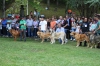 Filename=IMG_7507.jpg
Filesize=123KiB
Dimensions=1200x800
Date added=%571 %17, %2014 IMG_7507.jpg
