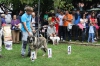 Filename=IMG_7517.jpg
Filesize=154KiB
Dimensions=1200x800
Date added=%571 %17, %2014 IMG_7517.jpg