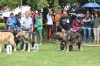 Filename=IMG_7612.jpg
Filesize=103KiB
Dimensions=1200x800
Date added=%572 %17, %2014 IMG_7612.jpg