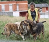 Filename=IMG-4116.jpg
Filesize=145KiB
Dimensions=1200x1040
Date added=%493 %29, %2012 IMG-4116.jpg