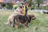 Filename=IMG-4121.jpg
Filesize=162KiB
Dimensions=1200x800
Date added=%493 %29, %2012 IMG-4121.jpg