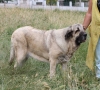 Filename=IMG-4122.jpg
Filesize=188KiB
Dimensions=1200x1087
Date added=%493 %29, %2012 IMG-4122.jpg