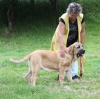 Filename=IMG-4124.jpg
Filesize=143KiB
Dimensions=1200x1194
Date added=%493 %29, %2012 IMG-4124.jpg