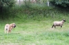Filename=IMG-4127.jpg
Filesize=153KiB
Dimensions=1200x781
Date added=%493 %29, %2012 IMG-4127.jpg