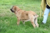 Filename=IMG-4128.jpg
Filesize=136KiB
Dimensions=1200x800
Date added=%493 %29, %2012 IMG-4128.jpg
