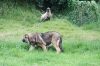 Filename=IMG-4133.JPG
Filesize=4288KiB
Dimensions=3888x2592
Date added=%493 %29, %2012 IMG-4133.JPG