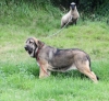 Filename=IMG-4134.jpg
Filesize=151KiB
Dimensions=1200x1107
Date added=%493 %29, %2012 IMG-4134.jpg