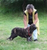 Filename=IMG-4136.jpg
Filesize=177KiB
Dimensions=1125x1200
Date added=%493 %29, %2012 IMG-4136.jpg