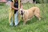 Filename=IMG-4149.jpg
Filesize=164KiB
Dimensions=1200x800
Date added=%493 %29, %2012 IMG-4149.jpg