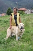 Filename=IMG-4150.jpg
Filesize=129KiB
Dimensions=800x1200
Date added=%493 %29, %2012 IMG-4150.jpg