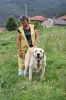 Filename=IMG-4151.jpg
Filesize=143KiB
Dimensions=800x1200
Date added=%493 %29, %2012 IMG-4151.jpg