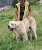 Filename=IMG-4153.jpg
Filesize=175KiB
Dimensions=1020x1200
Date added=%493 %29, %2012 IMG-4153.jpg