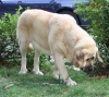 Filename=IMG-4170.jpg
Filesize=165KiB
Dimensions=1200x1068
Date added=%899 %29, %2012 IMG-4170.jpg