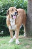 Filename=IMG-4174.jpg
Filesize=123KiB
Dimensions=781x1200
Date added=%899 %29, %2012 IMG-4174.jpg
