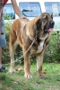 Filename=IMG-4175.jpg
Filesize=139KiB
Dimensions=810x1200
Date added=%899 %29, %2012 IMG-4175.jpg