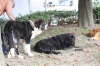 Filename=IMG-4179.jpg
Filesize=132KiB
Dimensions=1200x800
Date added=%899 %29, %2012 IMG-4179.jpg