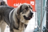 Filename=IMG-4181.jpg
Filesize=84KiB
Dimensions=1200x800
Date added=%899 %29, %2012 IMG-4181.jpg