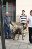Filename=IMG-4185.jpg
Filesize=93KiB
Dimensions=800x1200
Date added=%899 %29, %2012 IMG-4185.jpg