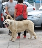 Filename=IMG-4187.jpg
Filesize=103KiB
Dimensions=1049x1200
Date added=%899 %29, %2012 IMG-4187.jpg