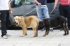 Filename=IMG-4188.jpg
Filesize=80KiB
Dimensions=1200x800
Date added=%899 %29, %2012 IMG-4188.jpg