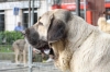 Filename=IMG-4192.jpg
Filesize=90KiB
Dimensions=1200x800
Date added=%899 %29, %2012 IMG-4192.jpg