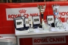 Filename=IMG-4198.jpg
Filesize=88KiB
Dimensions=1200x800
Date added=%899 %29, %2012 IMG-4198.jpg