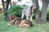 Filename=IMG-4203.jpg
Filesize=164KiB
Dimensions=1200x800
Date added=%938 %29, %2012 IMG-4203.jpg