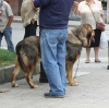Filename=IMG-4208.jpg
Filesize=145KiB
Dimensions=1200x1194
Date added=%938 %29, %2012 IMG-4208.jpg