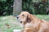 Filename=IMG-4211.jpg
Filesize=88KiB
Dimensions=1200x800
Date added=%938 %29, %2012 IMG-4211.jpg