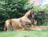 Filename=IMG-4217.jpg
Filesize=133KiB
Dimensions=1200x919
Date added=%938 %29, %2012 IMG-4217.jpg